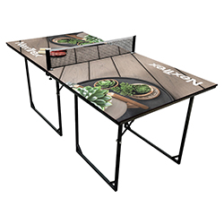 TABLE TENNIS GAME